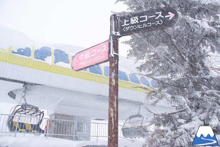 札幌国際スキー場 2018スキースノーボードシーズン開幕・初滑りからパウダースノー！